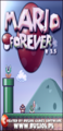 The image in the installer's setup from Mario Forever v3.5, which has a bigger logo with a small v3.5 near it, and shows the website's name and the developer.