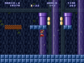 The 2 blocks that will teleport Mario to the world.