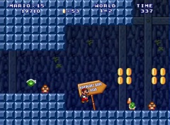 World 1 Mario Forever Wiki World 1 Mario Forever Wiki