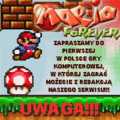 An advertisement of Mario Forever by the Polish forum WWW.GRY.o2.PL about their extra world. We invite you to the first computer game in Poland, in which you can you play with the editors of our site!!! ATTENTION!!!